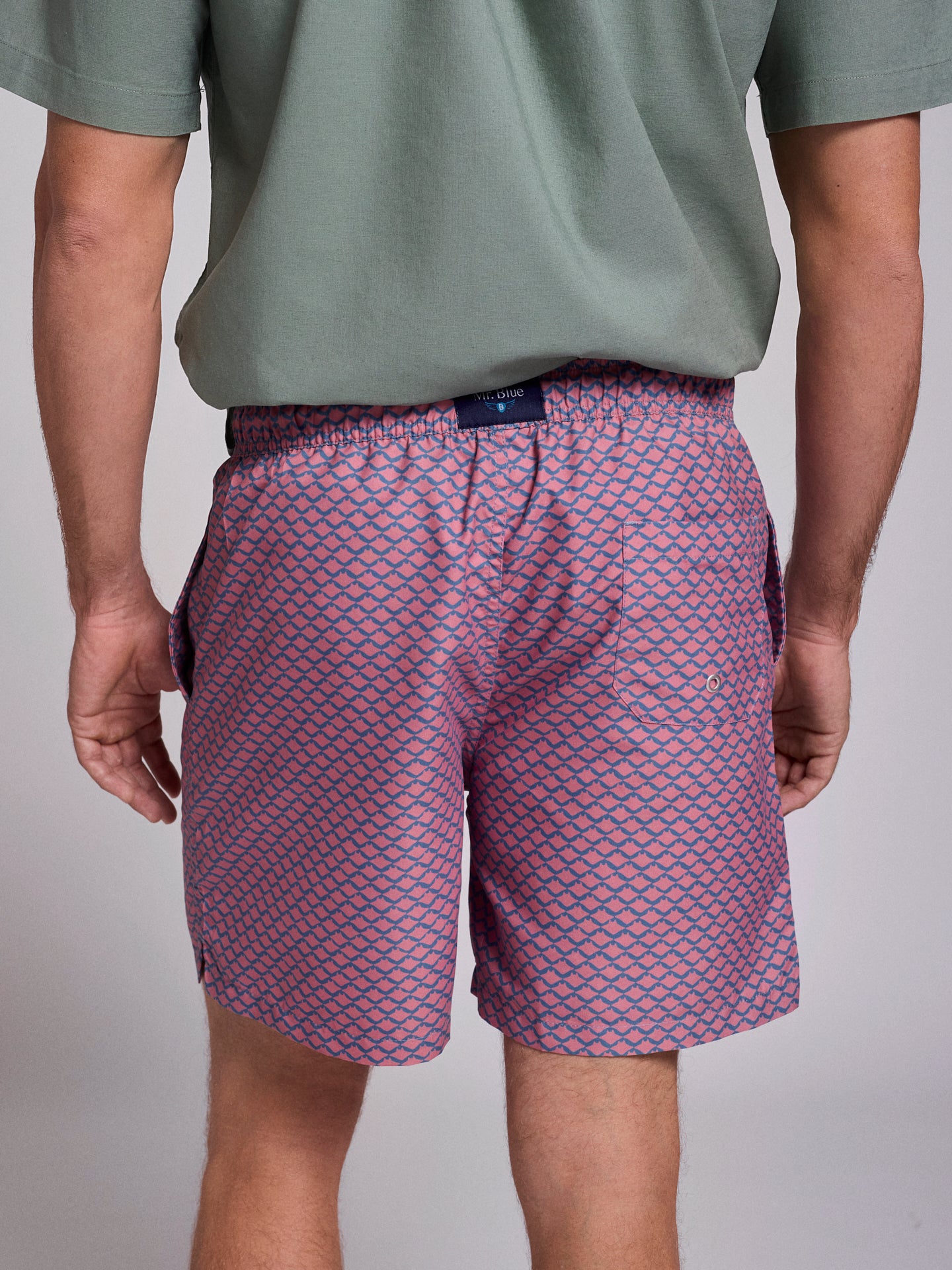 REGULAR FIT MR. BLUE SWIMMING SUIT BLUE
