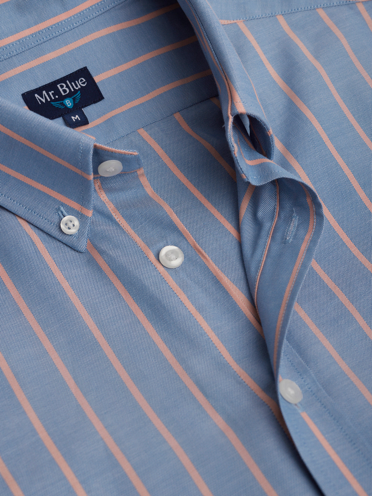 Mr. Blue Regular Fit Oxford Blue Shirt