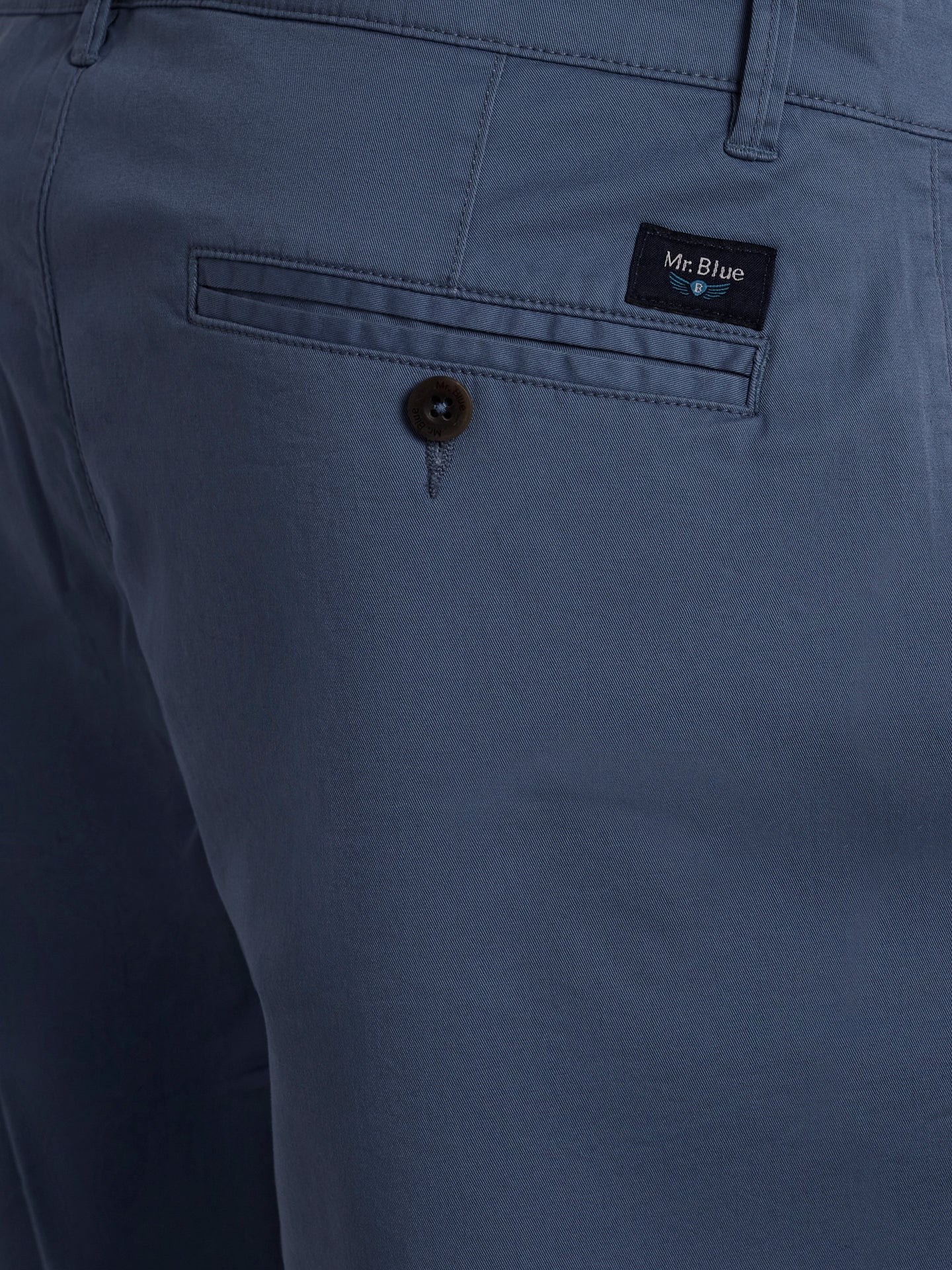 Mr. Blue Regular Fit Blue Shorts
