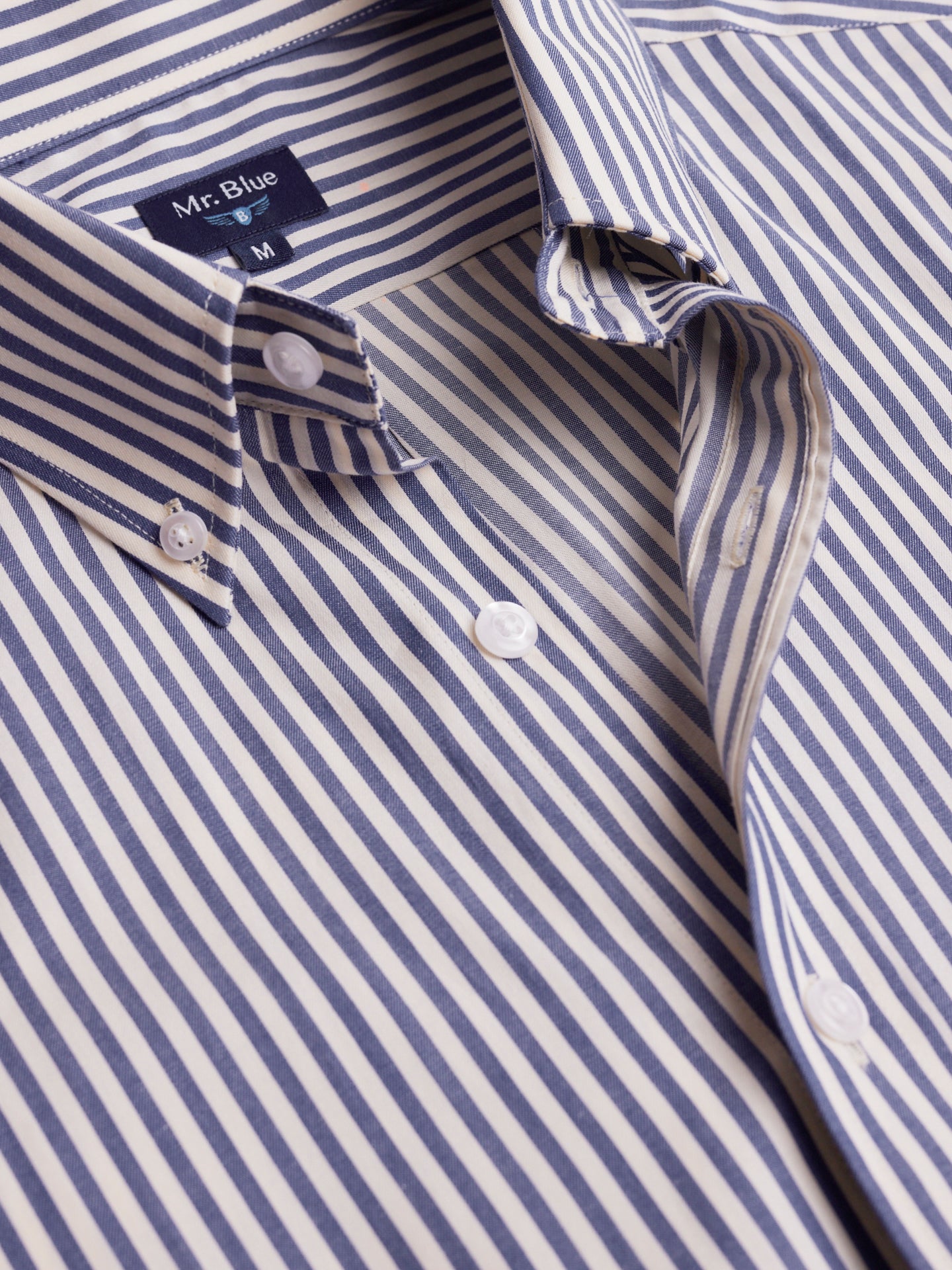 Mr. Blue Regular Fit Twill Shirt