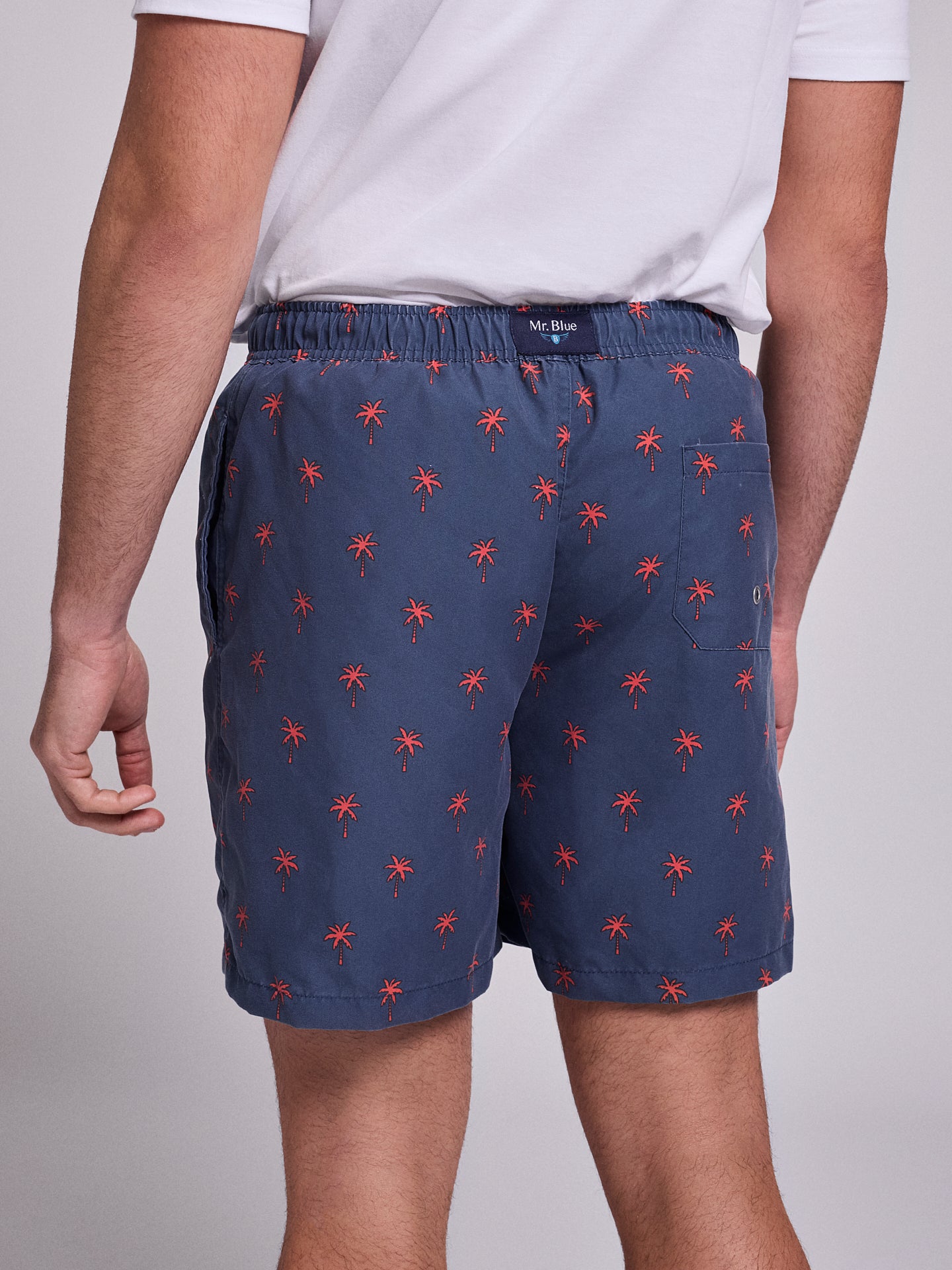 FATO BANHO AZUL REGULAR FIT MR. BLUE