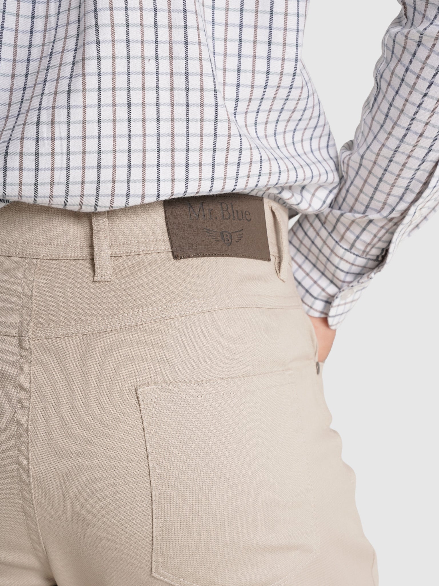 BEIGE COTTON REGULAR FIT MR. BLUE