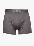 BOXER GRIS CLASSIC FIT MR. AZUL