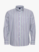BLUE COTTON SHIRT LONG SLEEVE REGULAR FIT MR. BLUE