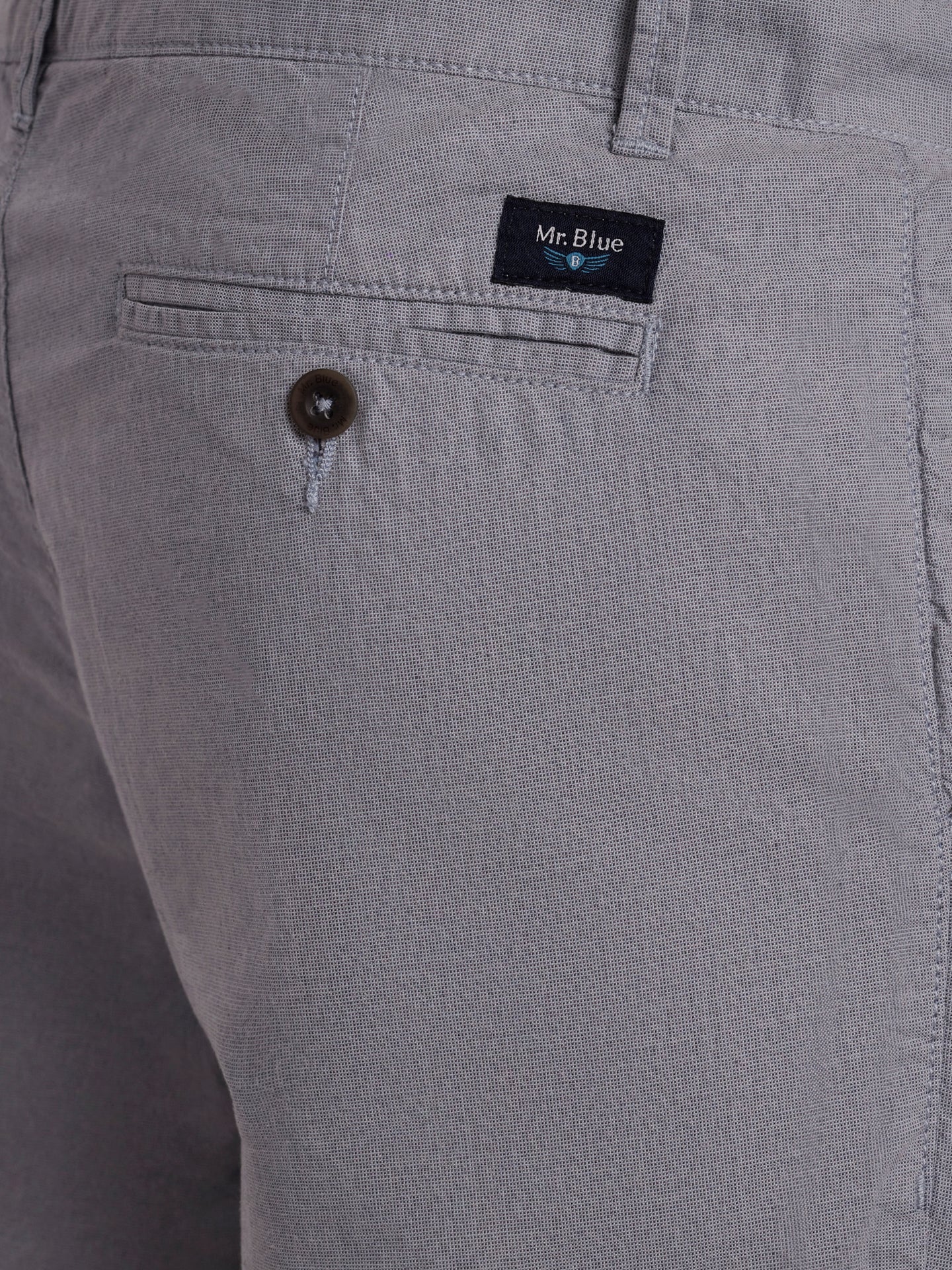 Mr. Blue Regular Fit Blue Shorts