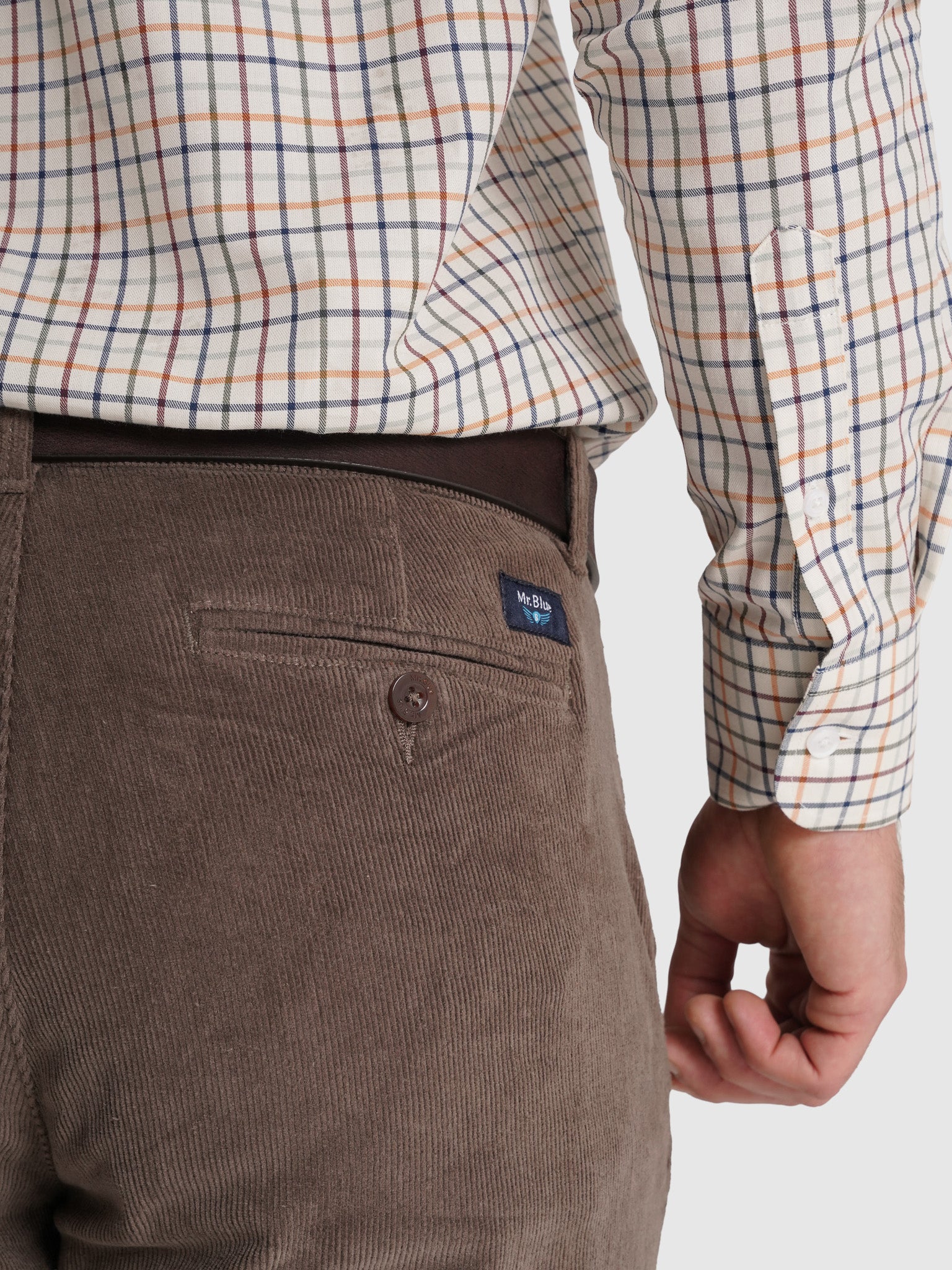 Calça Algodão Castanhas Regular Fit Mr. Blue