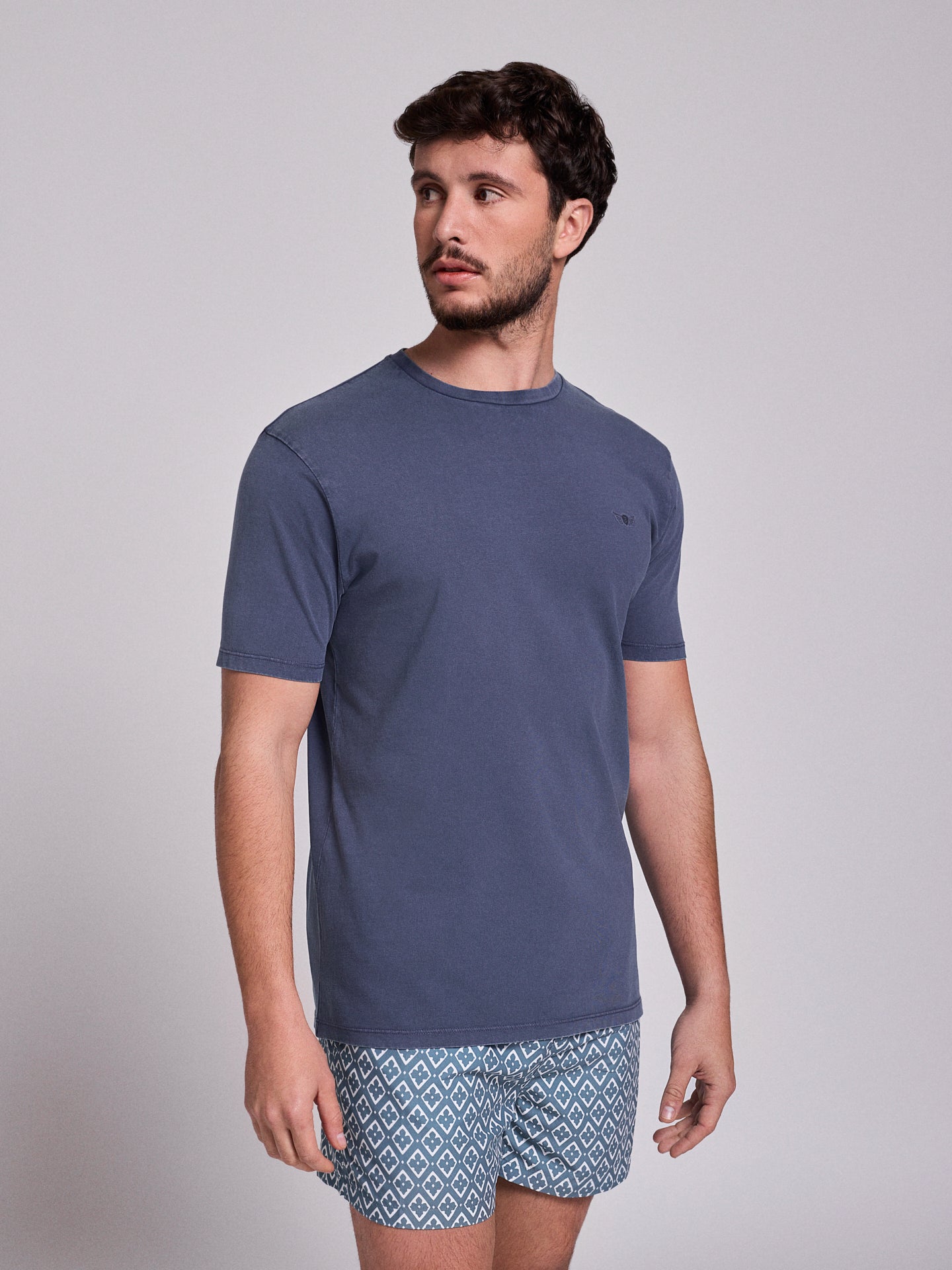 T-shirt Algodão Azul Manga Curta Regular Fit Mr. Blue