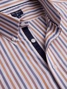 Brown Mr. Blue Regular Fit Oxford Shirt