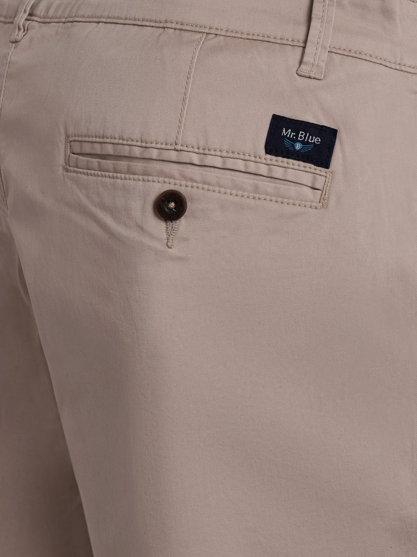 Regular Fit Beige Mr. Blue Shorts
