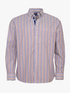 Brown Mr. Blue Regular Fit Oxford Shirt