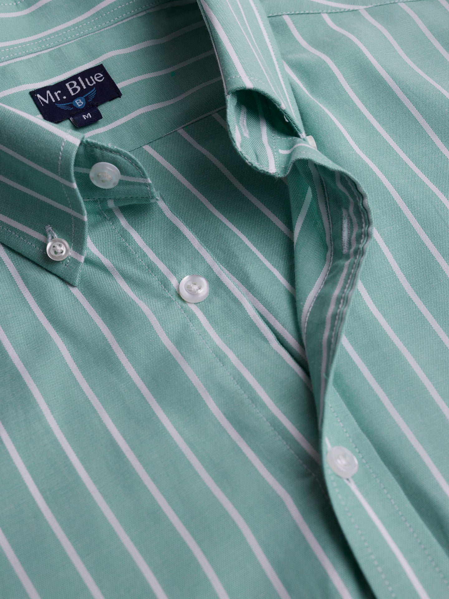 Regular Fit Oxford Green Mr. Blue Shirt